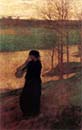 The Widow